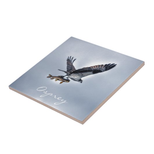 Ospreyと飛んでいるWalleye Fish HDR写真 タイル (側面)