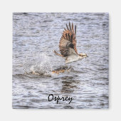 Osprey & 飛んでいる Fish HDR野生生物の写真ギフト マグネット (正面)