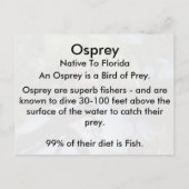 Osprey (4964)学のはがき ポストカード (裏面)