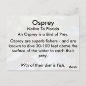 Osprey (4964)学のはがき ポストカード (裏面)