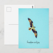 Osprey art ポストカード (正面/裏面)