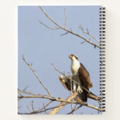 Osprey Bird Notebook ノートブック (裏面)