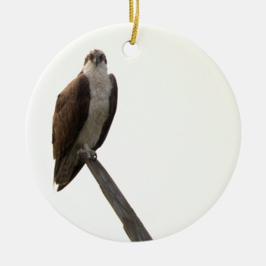 Osprey Bird Ornament セラミックオーナメント (正面)