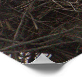 Osprey Birds in Nestポスター ポスター (角)