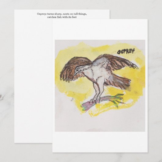 Osprey Greeting Card 招待状 (正面/裏面)
