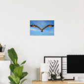 Osprey in Flight Wall Art | Bird of Prey Poster ポスター (ホームオフィス)