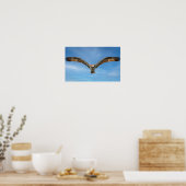 Osprey in Flight Wall Art | Bird of Prey Poster ポスター (キッチン)