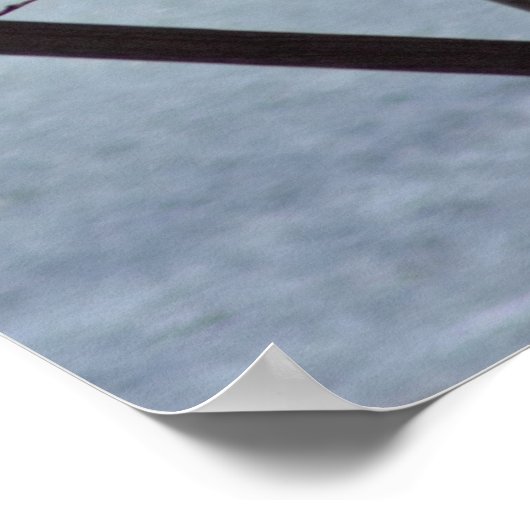 Osprey in Nest ポスター (角)