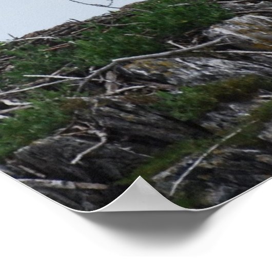 Osprey Landing Poster ポスター (角)