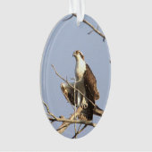 Osprey Photo Ornament  オーナメント (正面)