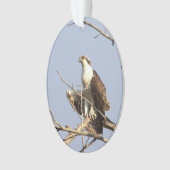 Osprey Photo Ornament  オーナメント (正面)