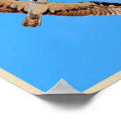 Osprey Poster ポスター (角)