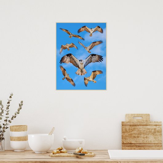 Osprey Poster ポスター (キッチン)