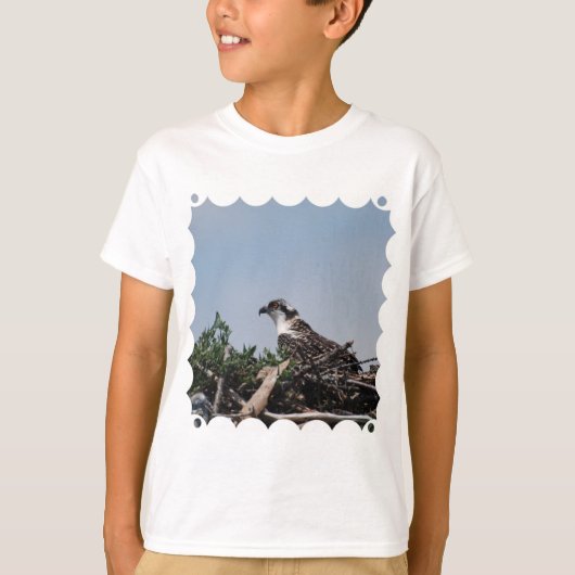 Osprey Sitting on Nest Youth T-Shirt Tシャツ (正面)