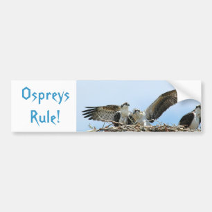 Ospreysルールバンパーステッカー バンパーステッカー