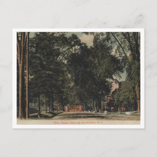 Ossining on the Hudson, Ellis Place View, 1907 ポストカード (正面)
