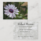 Osteospermumの名刺 名刺 (正面/裏面)