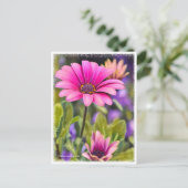 Osteospermum ポストカード (スタンド正面)