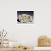 Ostracon depicting a dog chasing a hyena (limeston ポスター (キッチン)