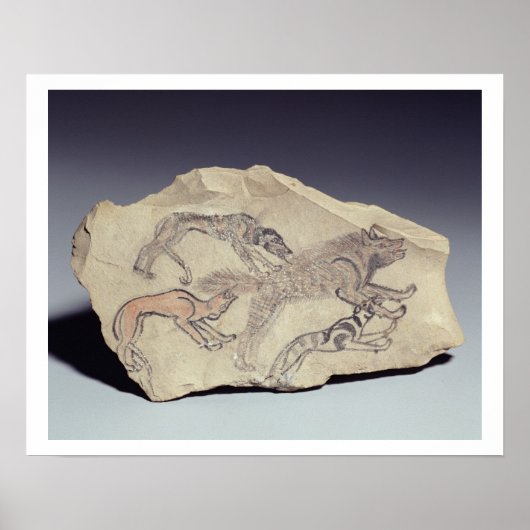 Ostracon depicting a dog chasing a hyena (limeston ポスター (正面)