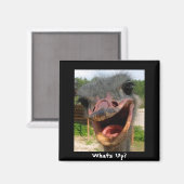 Ostrichおもしろい Bird Photo What's Up マグネット (正面/裏面)