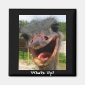 Ostrichおもしろい Bird Photo What's Up マグネット (正面)