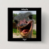 Ostrichおもしろい Bird Photo What's Up 缶バッジ (正面)