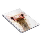 Ostrich ノートブック (右側)