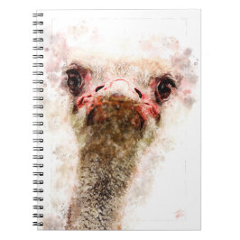 Ostrich ノートブック