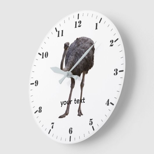 Ostrich bird in natural habitat  ラージ壁時計 (傾斜)