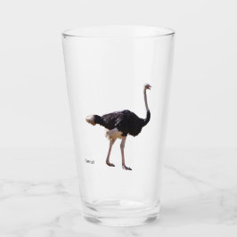 Ostrich glass タンブラーグラス