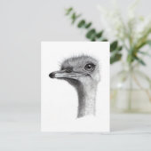 OSTRICH HEAD IN PENCIL：アート：現実主義 ポストカード (スタンド正面)