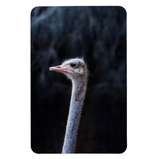 ostrich portrait マグネット (縦)