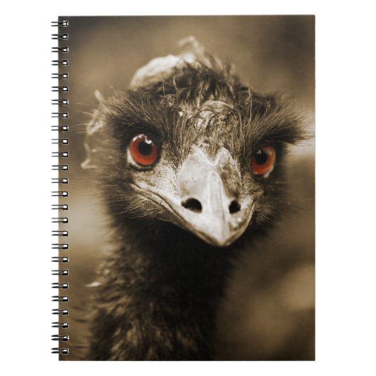 Ostriches Lookノートブック ノートブック (正面)