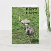OSTRICHES SAPPY **APRIL誕生日***カード カード (正面)