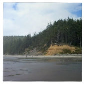 Oswald West State Park, Oregon Coast タイル (正面)