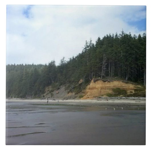 Oswald West State Park, Oregon Coast タイル (正面)