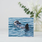 Oterly Lovely Alaska Otterはがき ポストカード (スタンド正面)