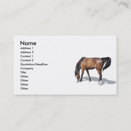 Other017，名前，住所1，住所2,連絡 ... 名刺 (正面)