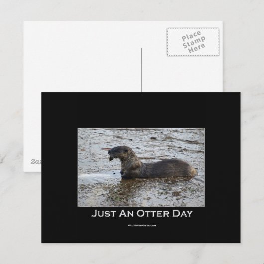 Otterはがき ポストカード (正面/裏面)
