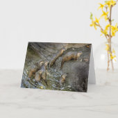 Otterパックのグリーティングカード カード (黄色い花)