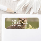 Otter住所 シール (インサイチュ)