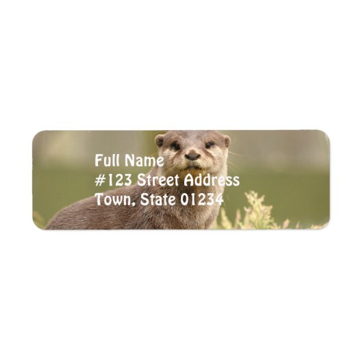 Otter住所 シール (正面)