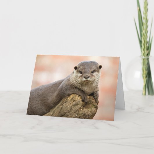 Otter Greetingsカード カード (正面)