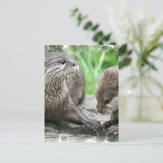 Otter Habitatはがき ポストカード (スタンド正面)