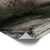 Otter Habitatポスター ポスター (角)