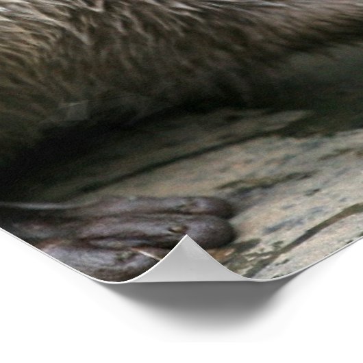 Otter Habitatポスター ポスター (角)