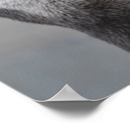 Otter Mastermindポスター ポスター (角)