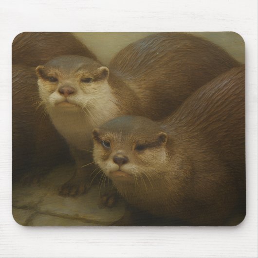 Otter Quartet – Playful Wildlife Art Print マウスパッド (正面)