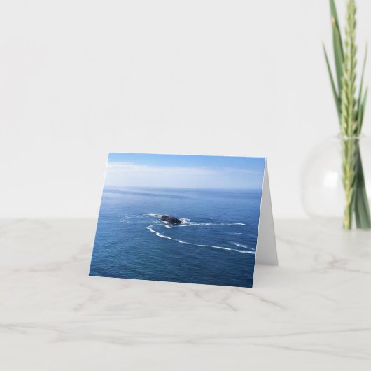 Otter Rock, Cape Foulweather, Newport，オレゴン サンキューカード (正面)